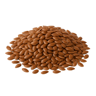Pile of brown seeds on a white background
