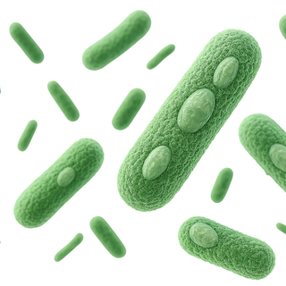 Illustration of green bacteria cells on a white background