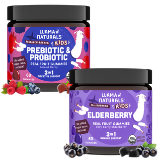 Kids Gut & Immune Support Bundle – Pre & Probiotic + Elderberry Gummies