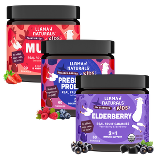 Kids Complete Wellness Bundle – Multi + Pre & Probiotic + Elderberry Gummies