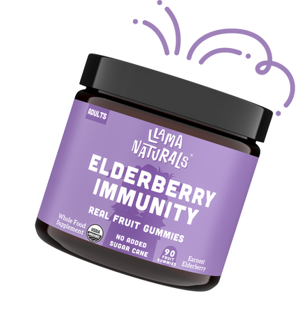 Adult Elderberry Immunity