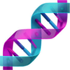 Colorful DNA double helix on a white background