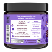 Kids Elderberry Immunity Gummies (120 ct)