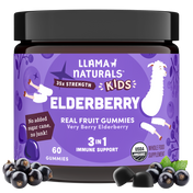 Kids Elderberry Immunity Gummies (60 ct)