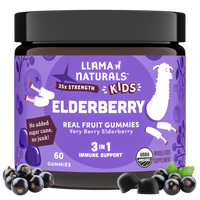 Kids Complete Wellness Bundle – Multi + Pre & Probiotic + Elderberry Gummies
