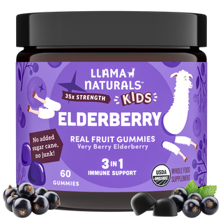 Kids Complete Wellness Bundle – Multi + Pre & Probiotic + Elderberry Gummies