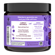 Kids Elderberry Immunity Gummies (60 ct)