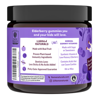 Kids Elderberry Immunity Gummies (60 ct)