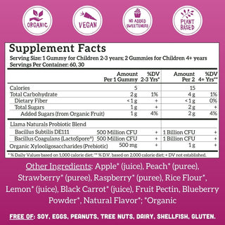 Kids Vitality Bundle – Multi + Pre & Probiotic Gummies