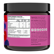 Kids Prebiotic & Probiotic Gummies, Mixed Berry (120 ct)