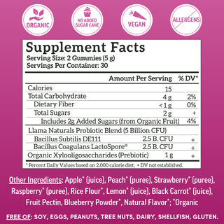 Adult Prebiotic & Probiotic Gummies, Mixed Berry (60 ct)