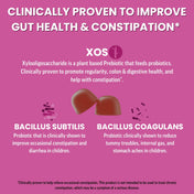 Adult Prebiotic & Probiotic Gummies, Mixed Berry (60 ct)