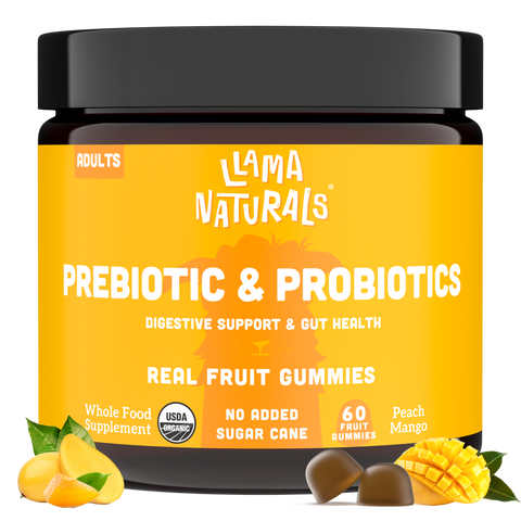 Adults Pre & Probiotic - Peach Mango (Organic)