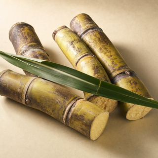 XOS prebiotic fiber — whole-food source