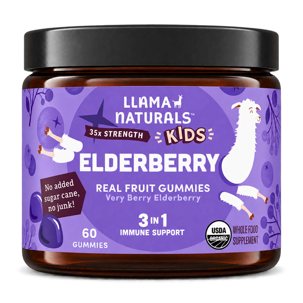 Kids Elderberry Immunity Gummies (60 ct)