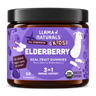 Kids Elderberry Immunity