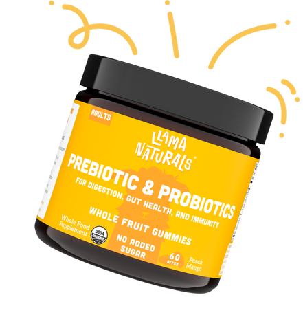 Adults Pre & Probiotic - Peach Mango (Organic)