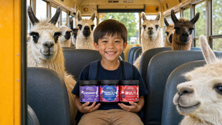 Riding the bus with the bundle